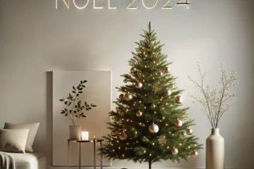 Noel 2024